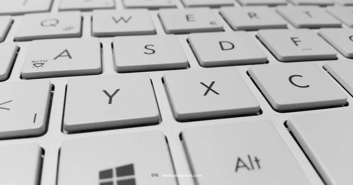 Keyboard Drivers - Keyboard Gurus