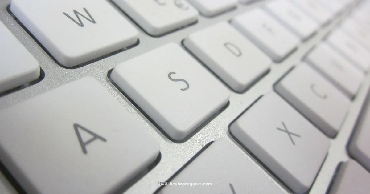 PC Keyboard Mac - Keyboard Gurus