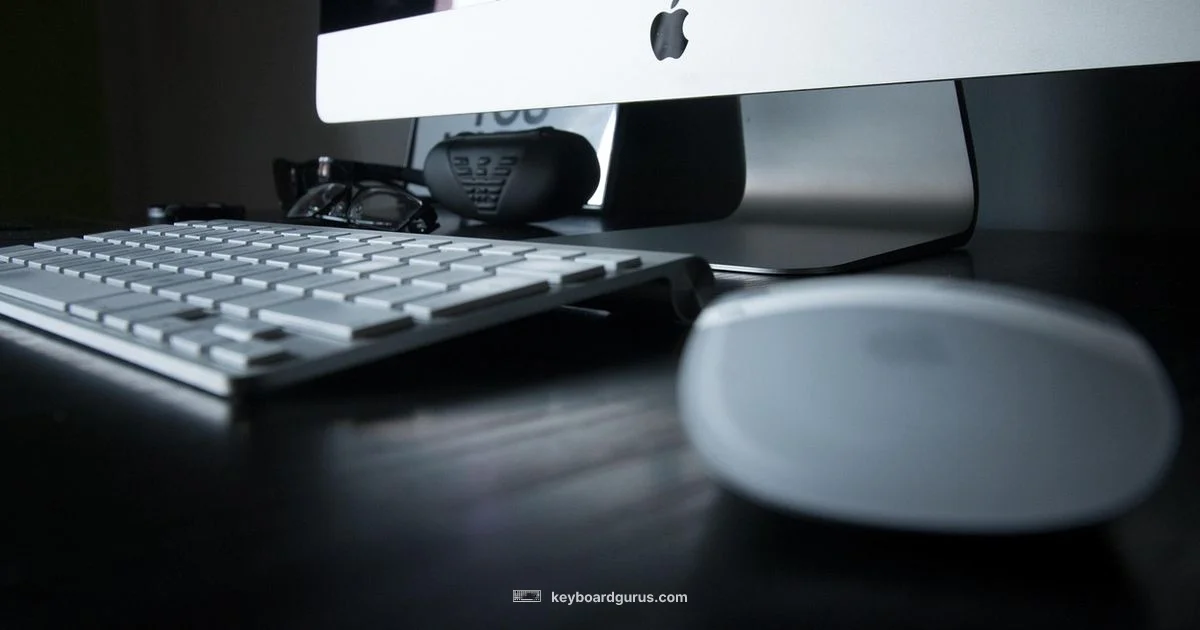 Undo Keyboard Shortcuts - Keyboard Gurus