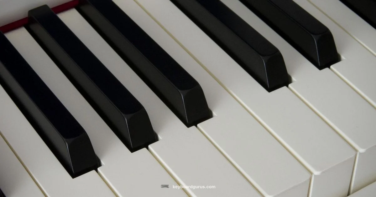 Best Keyboard Pianos 2026 - Keyboard Gurus