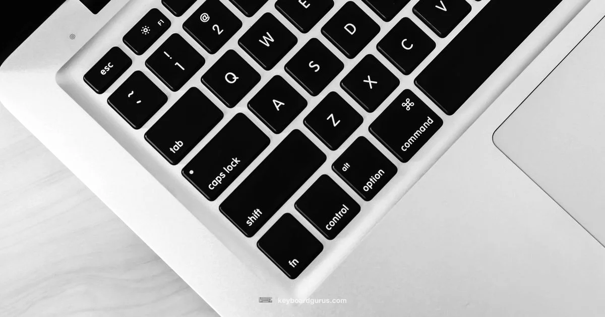 Hot-Swappability Guide - Keyboard Gurus