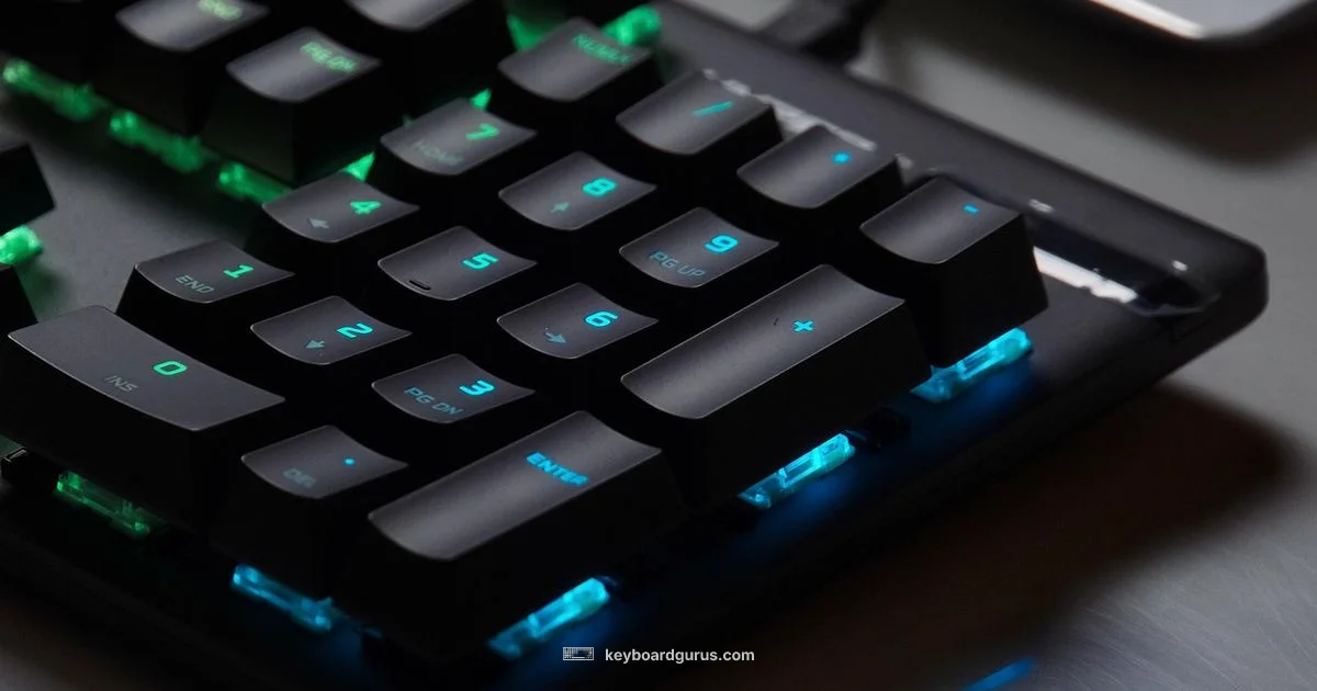 Expensive by Design - Keyboard Gurus