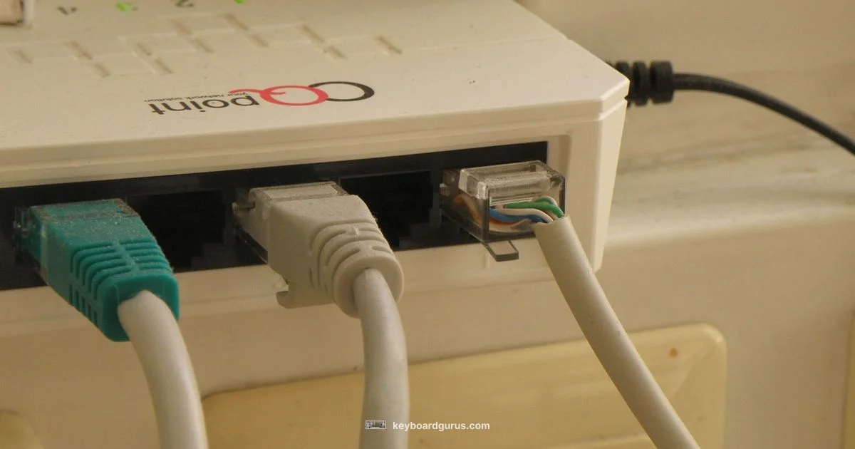 Hot Swap Check - Keyboard Gurus