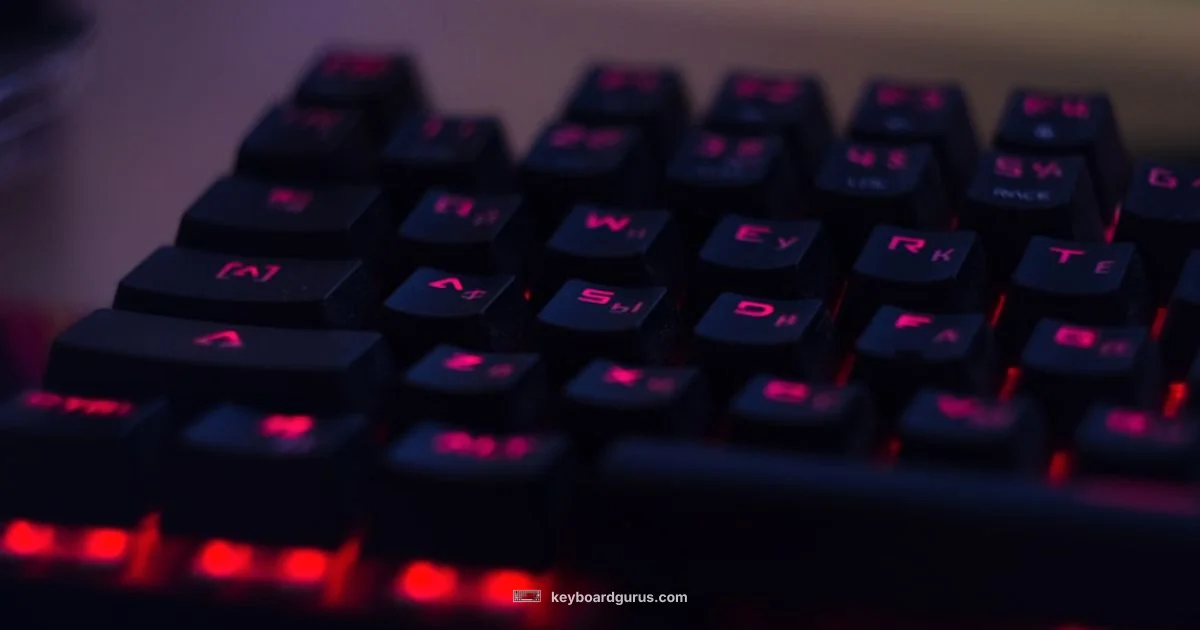 Ducky One 2 TKL Review - Keyboard Gurus