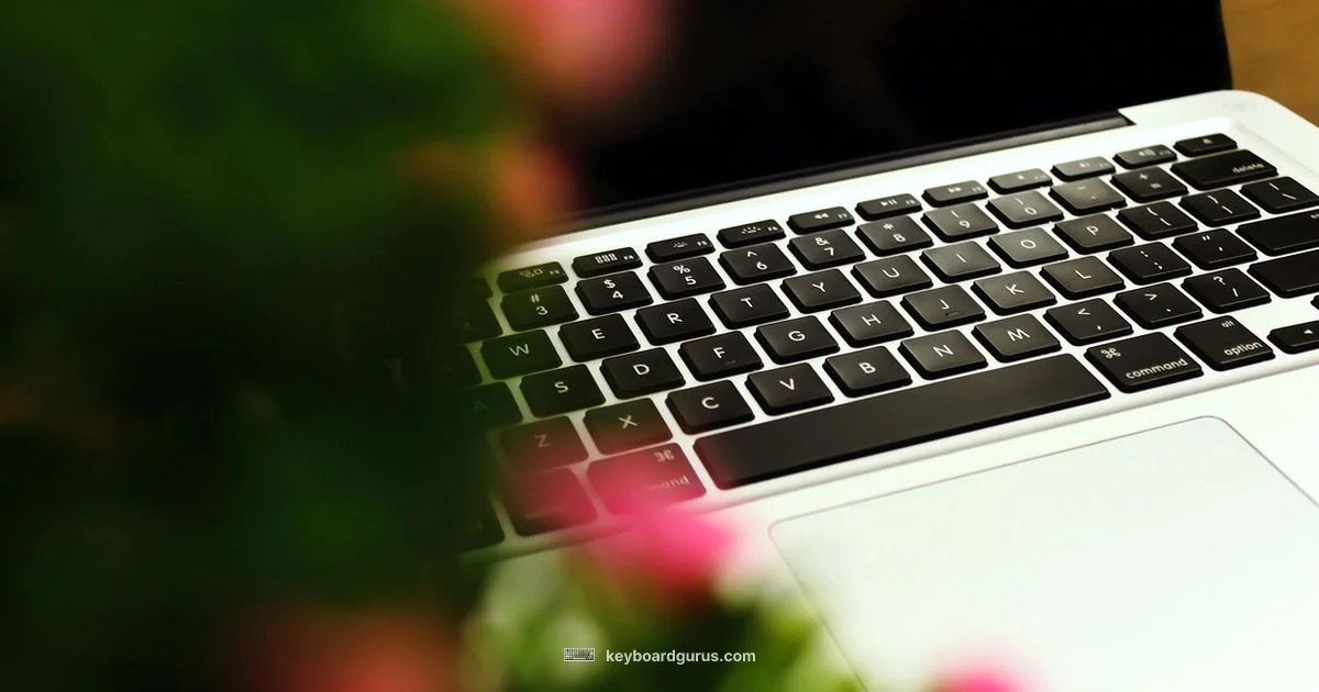 Keyboard Cover Guide - Keyboard Gurus