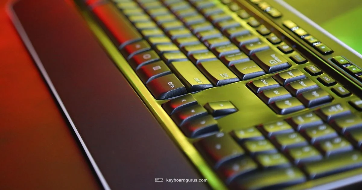 Paste Keyboard Guide - Keyboard Gurus