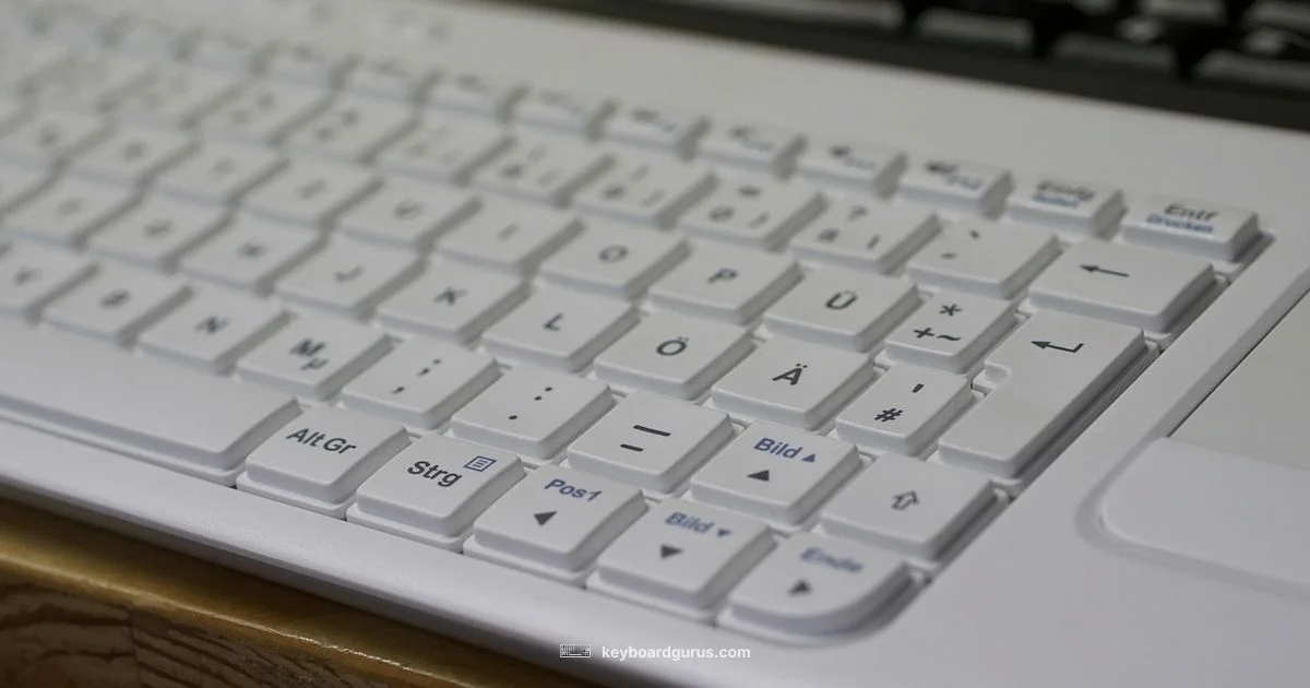 Keyboard Types - Keyboard Gurus