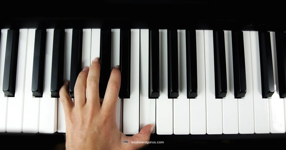 Budget Piano Keys - Keyboard Gurus