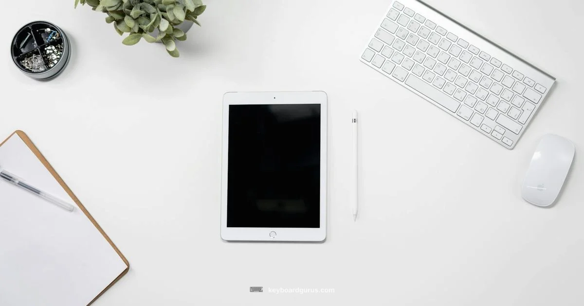 Logitech iPad Keyboard Guide Logitech iPad Keyboard Guide - Keyboard Gurus