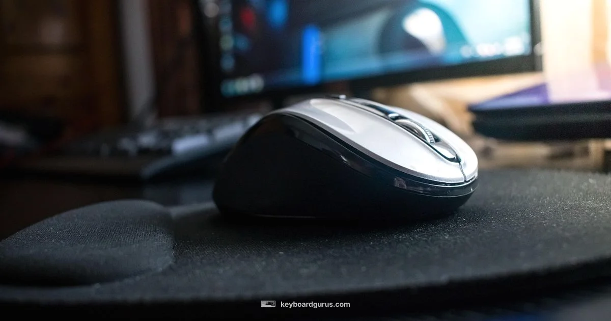 Keyboard & Mouse Set Guide - Keyboard Gurus