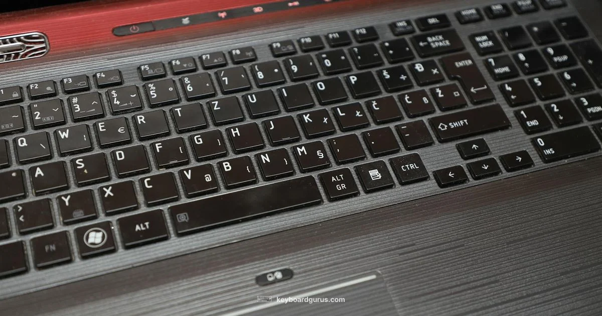 Layout Basics - Keyboard Gurus