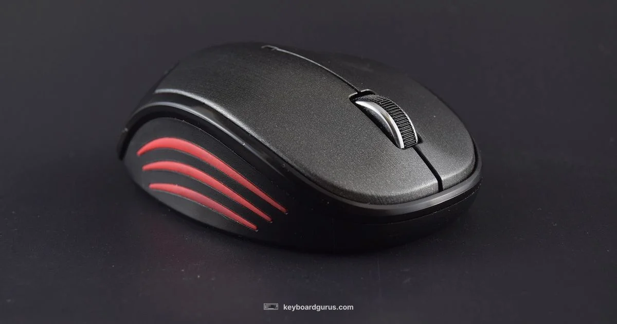 Wireless Keyboard Combo - Keyboard Gurus