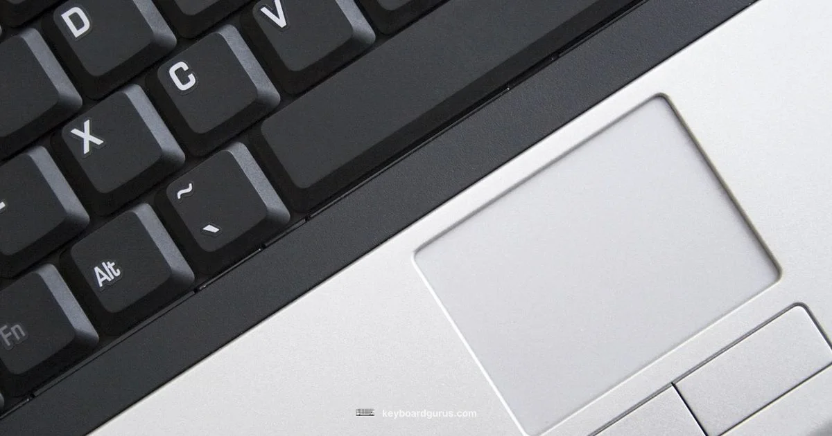 Key Test Basics - Keyboard Gurus