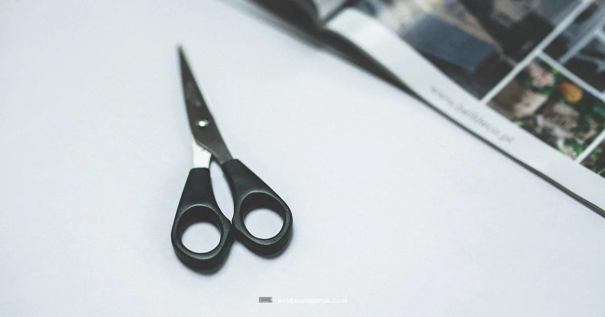 Keyboard Cleaner - Keyboard Gurus