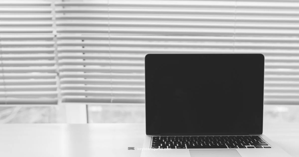 Keyboard Online Guide Keyboard Online Guide - Keyboard Gurus