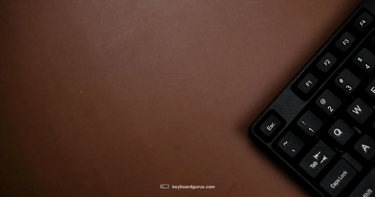 90 Degree Ergonomics - Keyboard Gurus