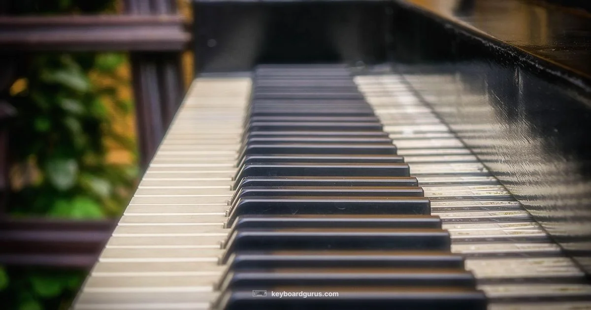 88-Key Standard - Keyboard Gurus