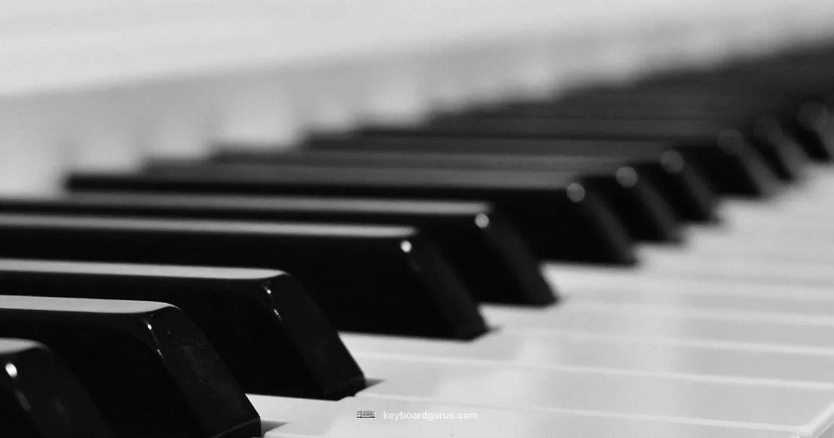 Quiet Keyboard Guide - Keyboard Gurus