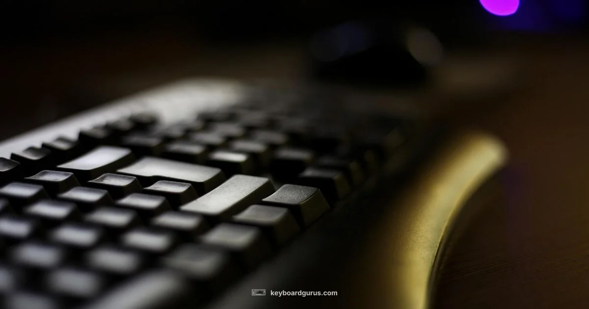 Keyboard Driver Guide Keyboard Driver Guide - Keyboard Gurus