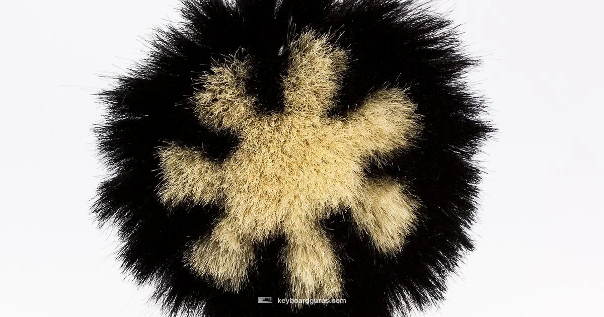 Sticking Key Fix - Keyboard Gurus