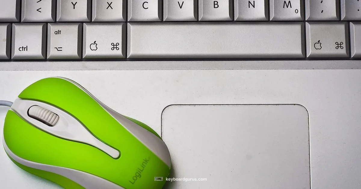 Lifespan Guide - Keyboard Gurus