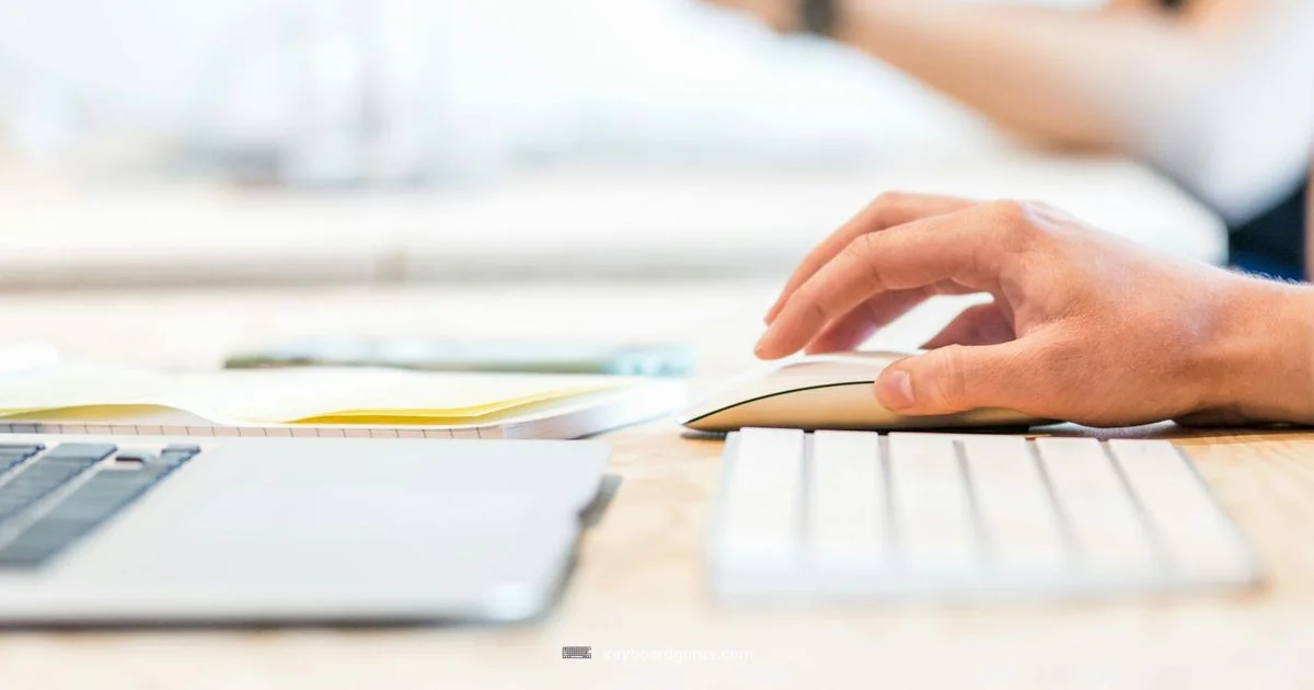 MK270 Wireless Duo - Keyboard Gurus