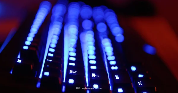 Celebrity Keyboard - Keyboard Gurus