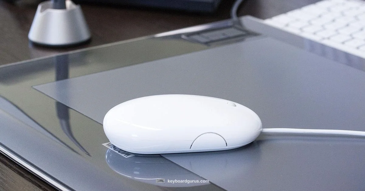 Deck Peripherals Deck Peripherals - Keyboard Gurus