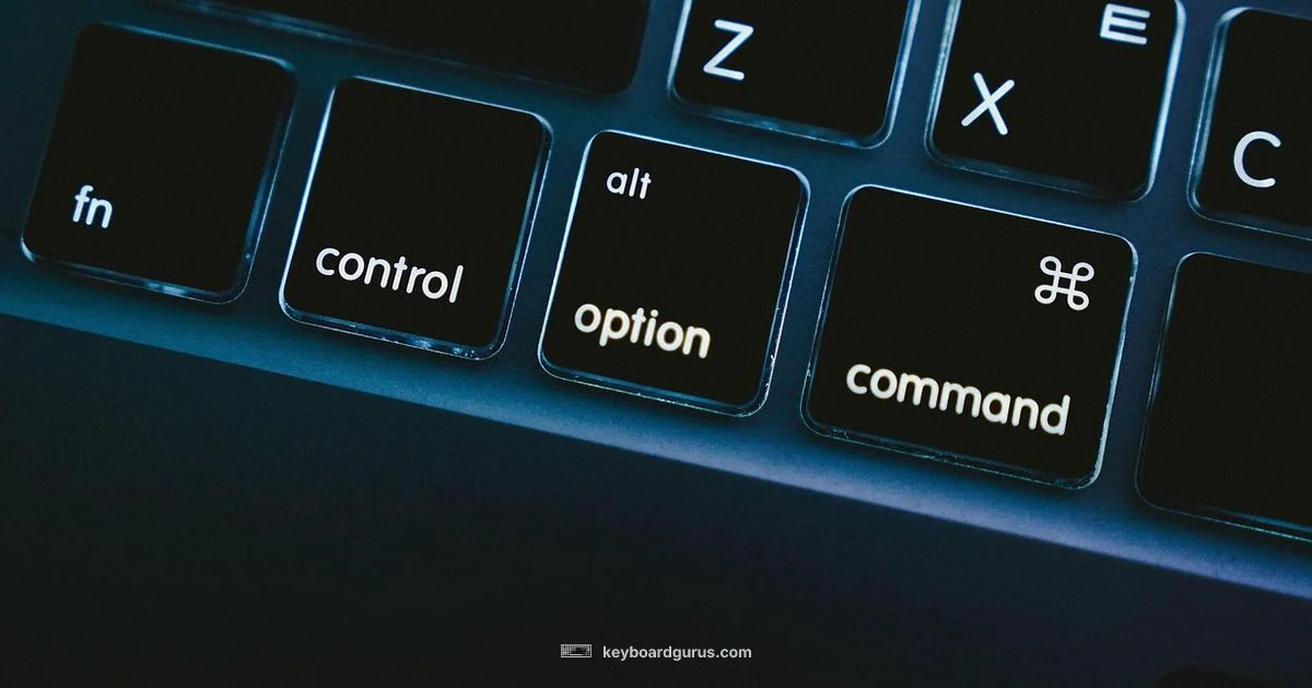 Controller Mapping Guide - Keyboard Gurus