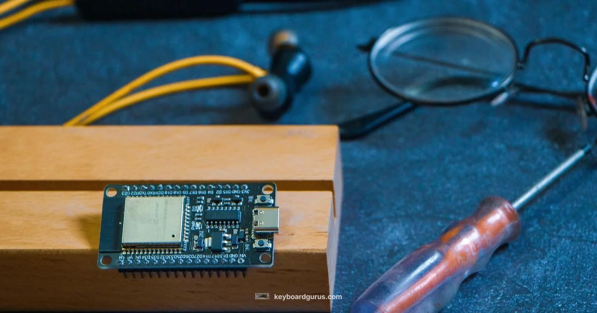 Bare Keyboard Build - Keyboard Gurus