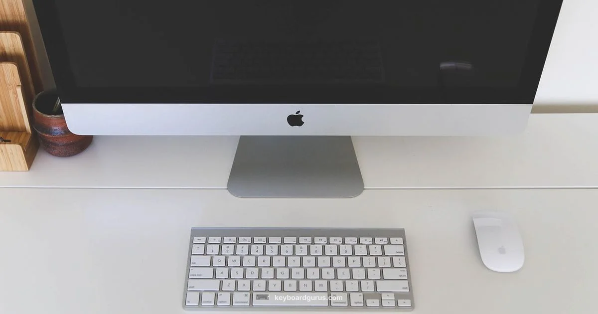 Top Keyboard & Mouse Picks - Keyboard Gurus