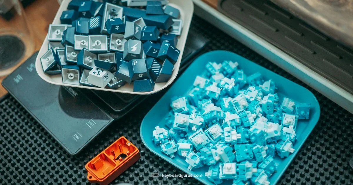 Keys Reattached Guide - Keyboard Gurus