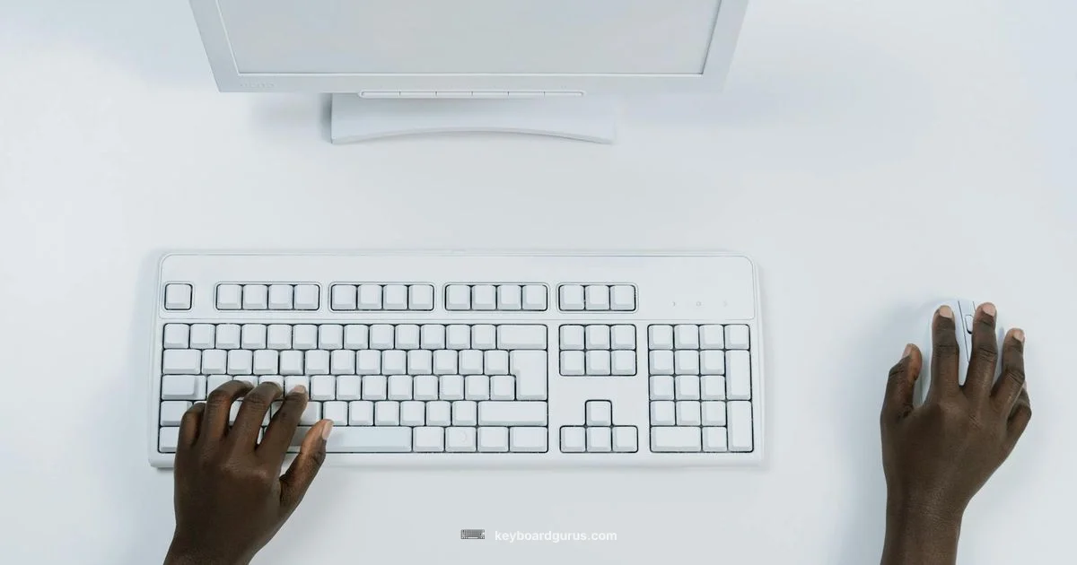 Layout Showdown - Keyboard Gurus