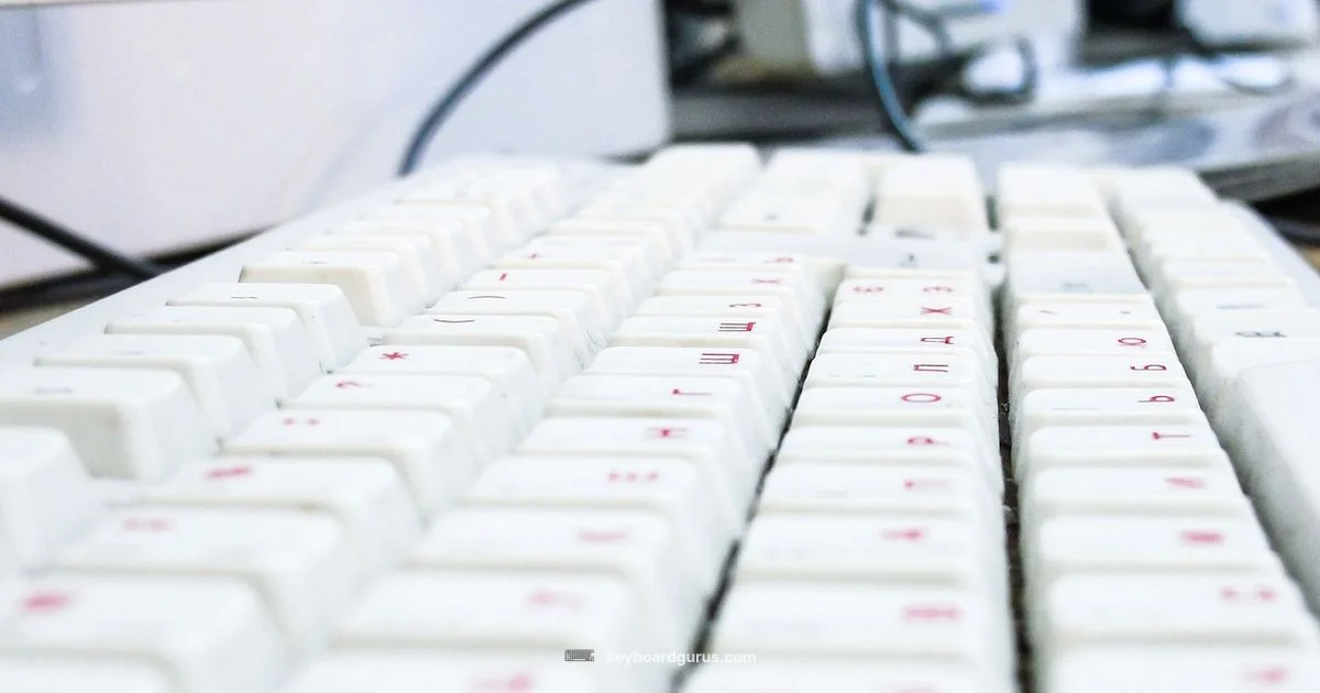 Regular vs Mechanical - Keyboard Gurus