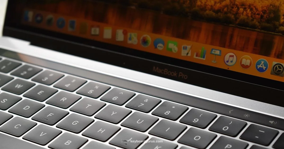 Apple Keyboard Overview - Keyboard Gurus