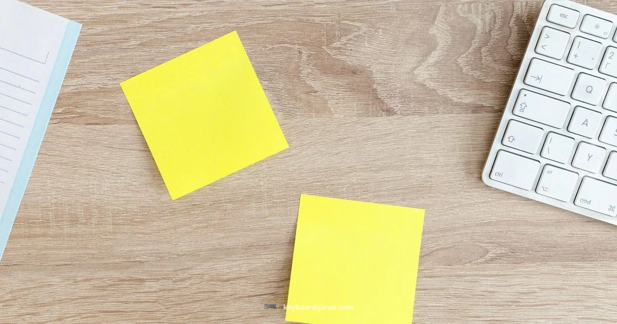 Full Size Keyboard Guide - Keyboard Gurus