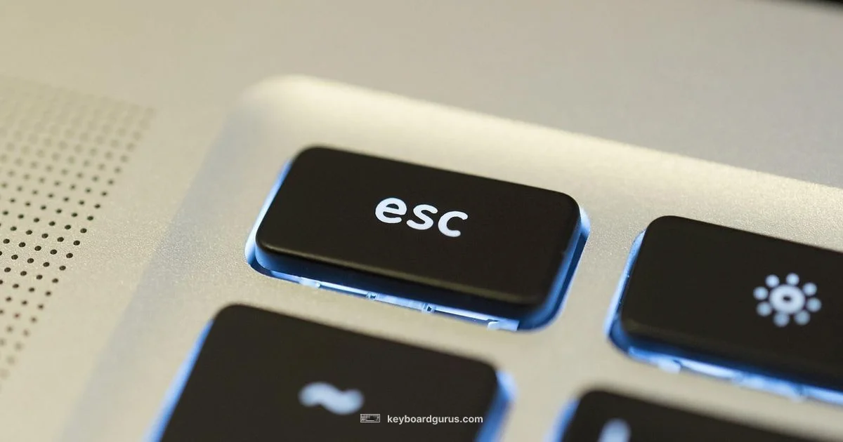 Best Keyboard Guide - Keyboard Gurus