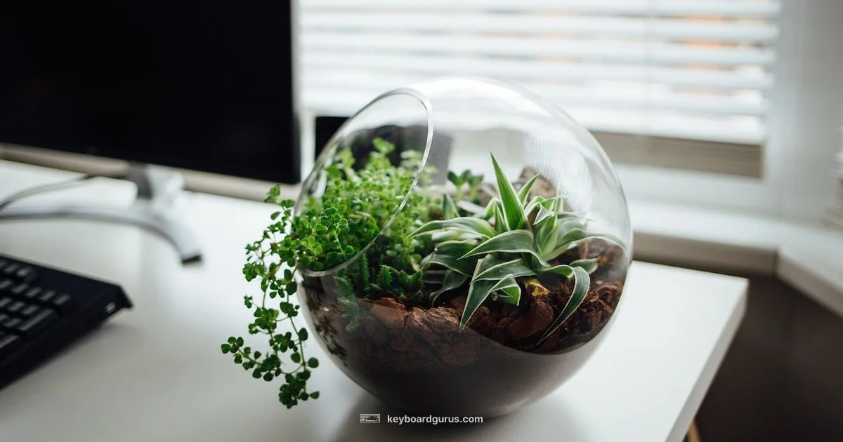 Select All Shortcuts - Keyboard Gurus