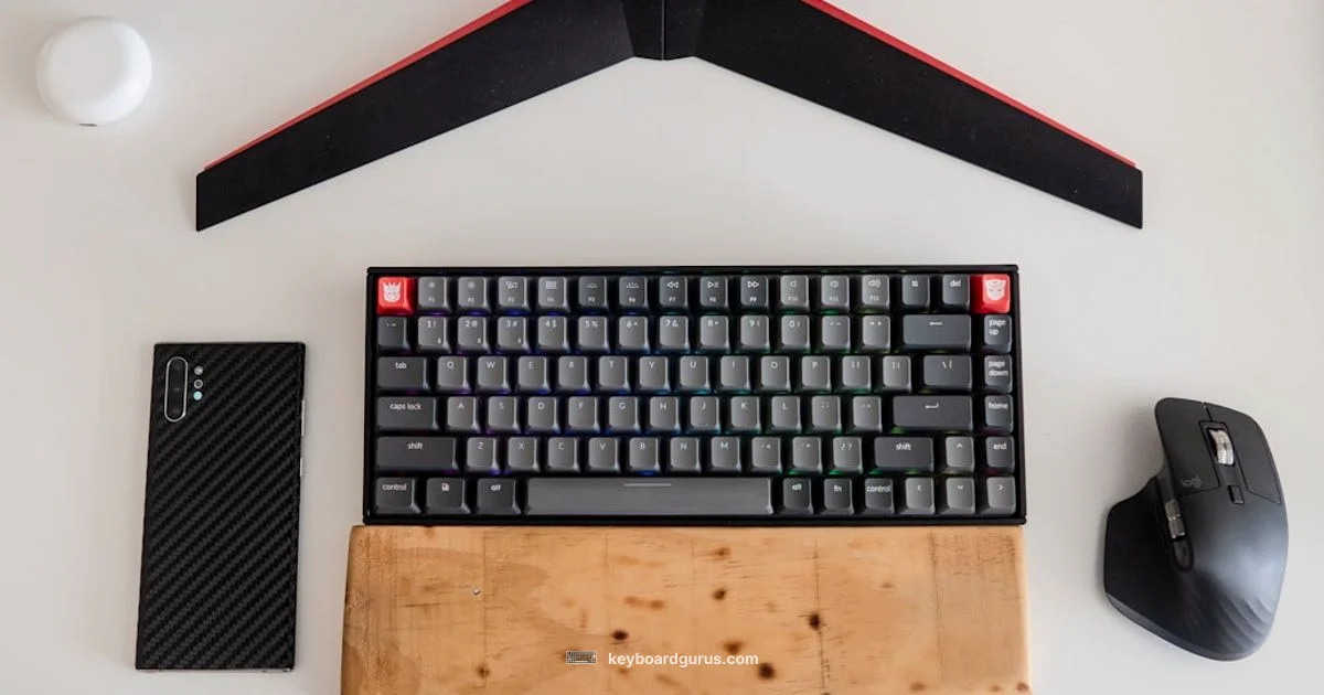 Expansion Essentials - Keyboard Gurus