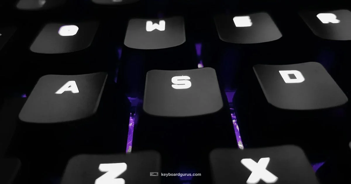 Backlit Keyboard Basics - Keyboard Gurus