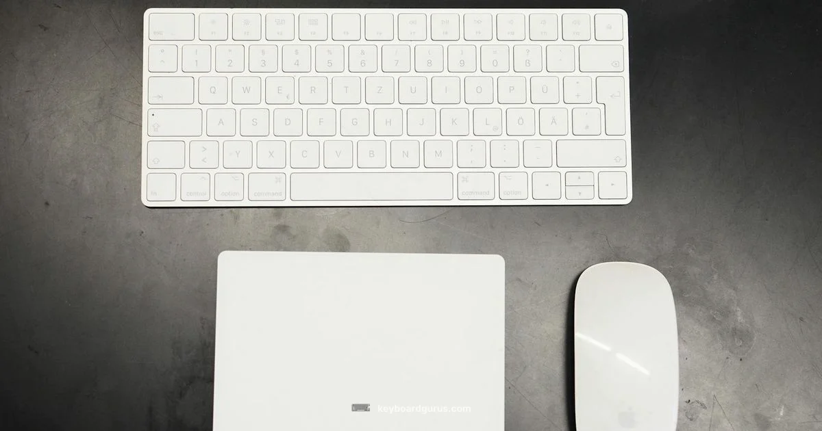 Pairing Guide - Keyboard Gurus