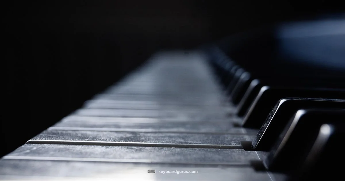 Beginner Keyboard Guide - Keyboard Gurus