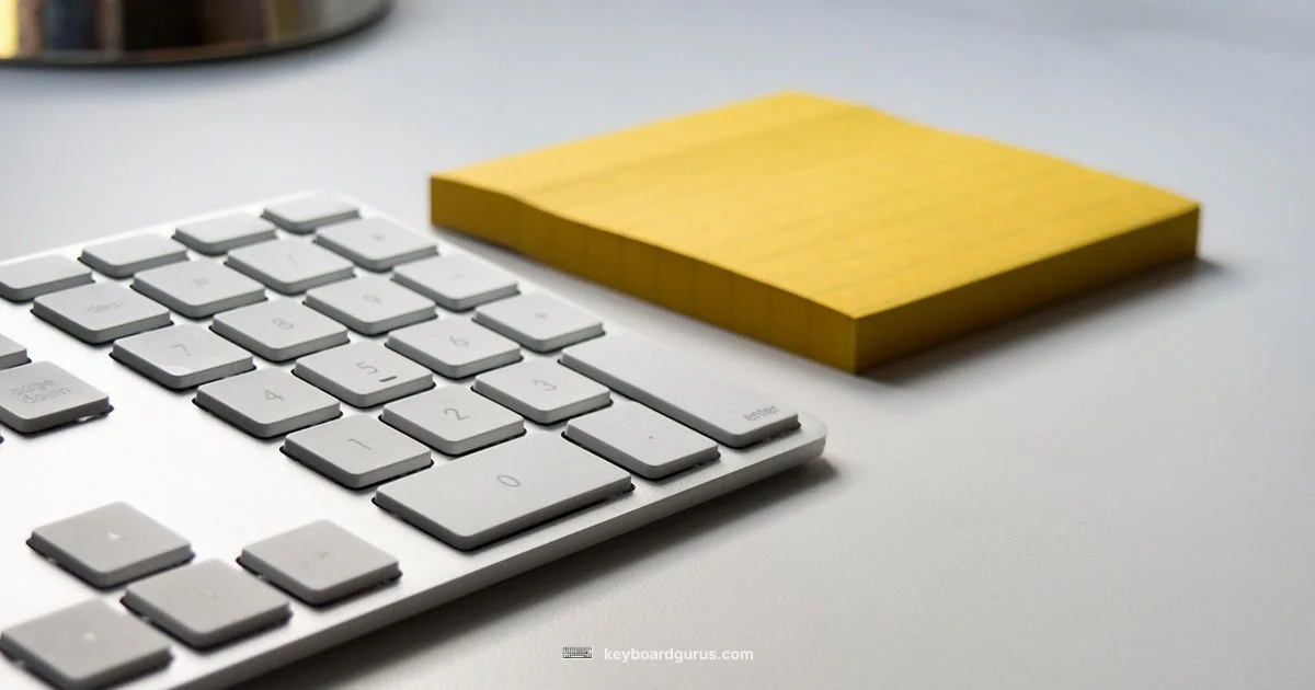 What keyboard we use - Keyboard Gurus