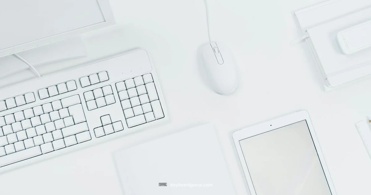 Desk Tray Ergonomics Desk Tray Ergonomics - Keyboard Gurus