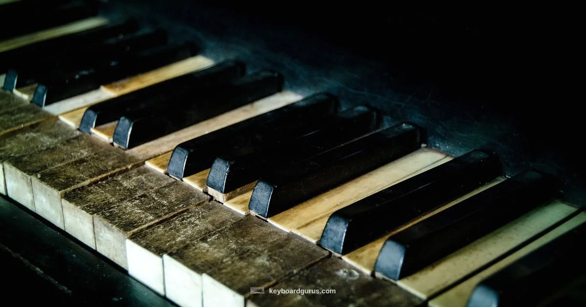 Piano Notes Keyboard - Keyboard Gurus