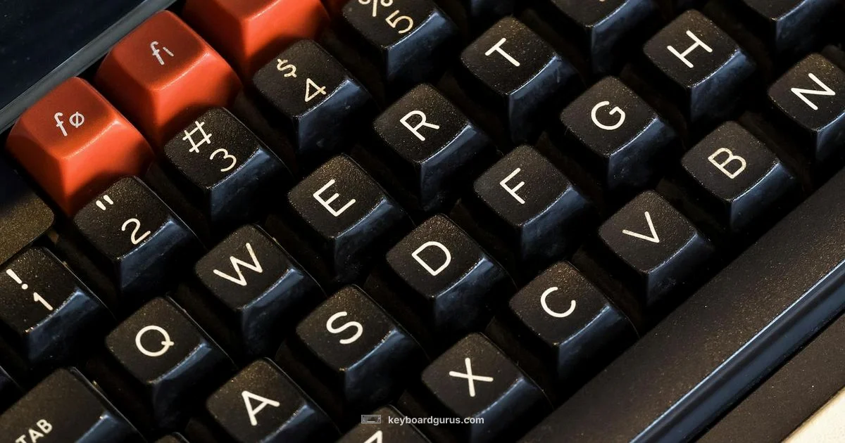 Keyboard Parts Guide Keyboard Parts Guide - Keyboard Gurus