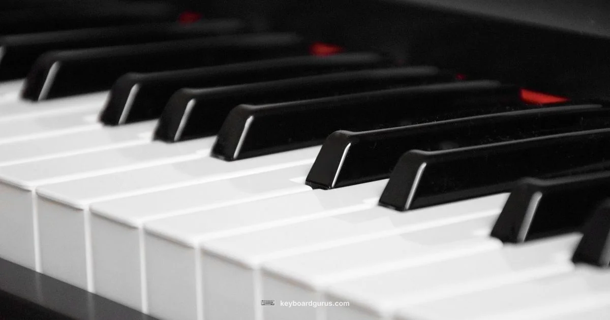 Free Web Piano - Keyboard Gurus