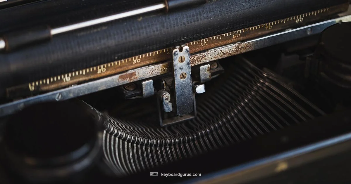 Keyboard Cat Origins - Keyboard Gurus