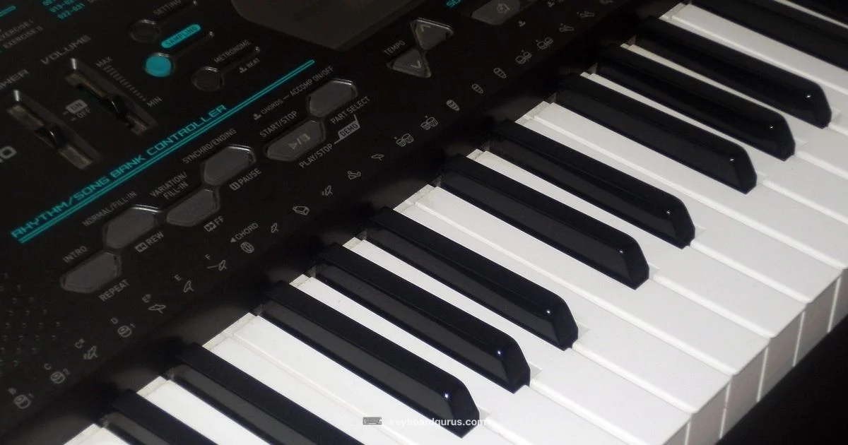 Keyboard vs Organ - Keyboard Gurus