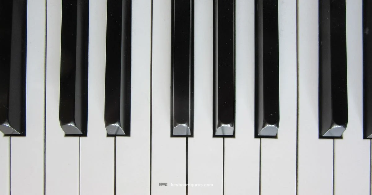 Piano Keyboard Basics - Keyboard Gurus